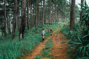 BIB: 
                            <button type="button" onclick="openModal(25652927)" class="btn btn-primary btn-sm float-right btn-popup" data-toggle="modal" data-target=".modal-high-quality">
                        <i class="fas fa-shopping-cart"></i> Add to Cart
                    </button>
                                            <button type="button" onclick="isThisMe(25652927, true)" class="btn btn-success btn-sm float-right btn-popup btn-isme hidden" data-toggle="tooltip" data-placement="bottom" title="นี่คือรูปของคุณใช่ไหม คลิกที่นี่เพื่อเอาเข้าอัลบั้ม">
                        <i class="fas fa-plus"></i> Add to album
                    </button>
                    <button type="button" onclick="isThisMe(25652927, false)" class="btn btn-warning btn-sm float-right btn-popup btn-isnotme hidden">
                        <i class="fas fa-ban"></i> Remove from album
                    </button>